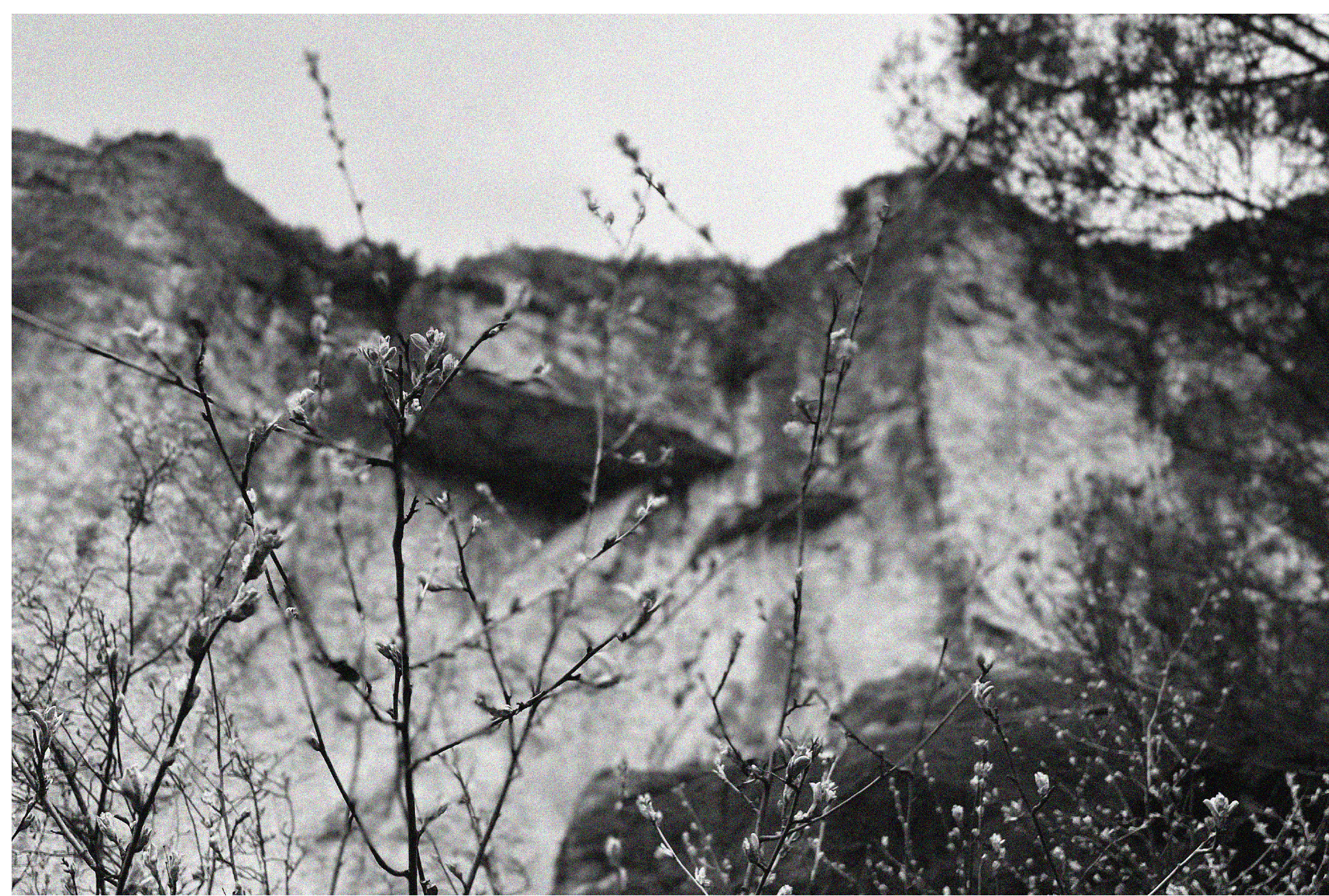 Paisaje en blanco y negro con textura de ruido