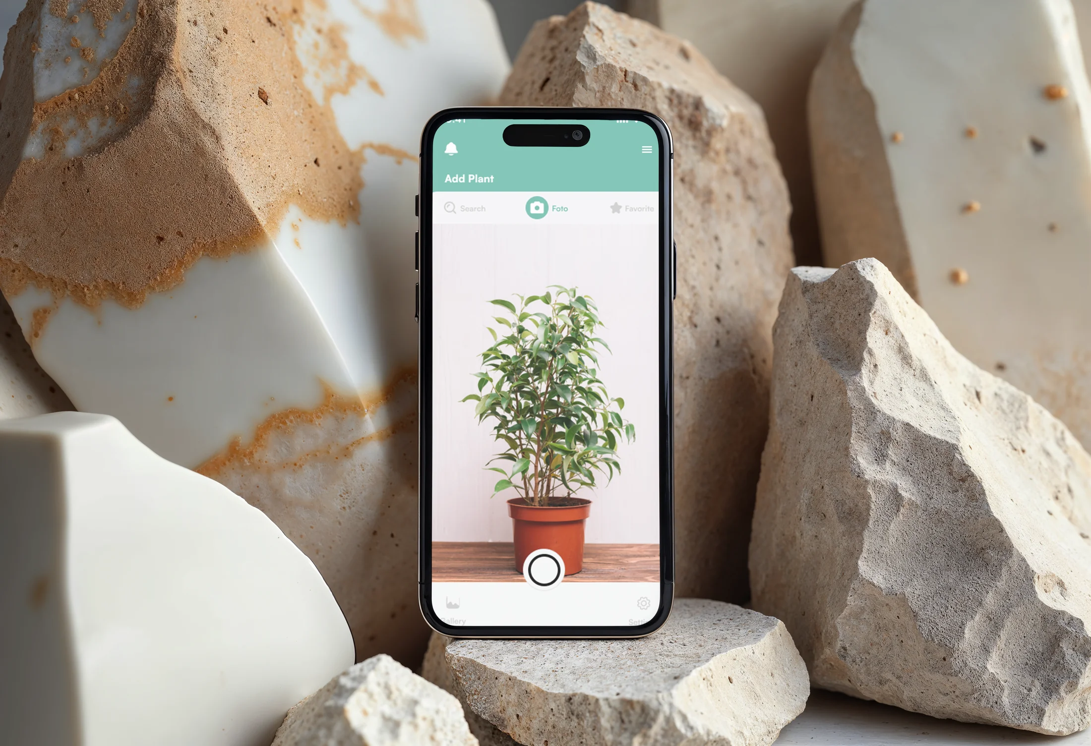 Detalle del proyecto Plant-Me