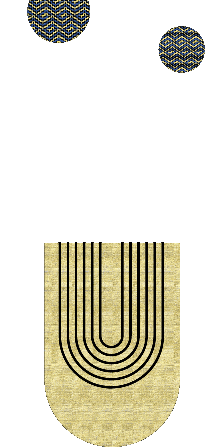 Animación del proyecto